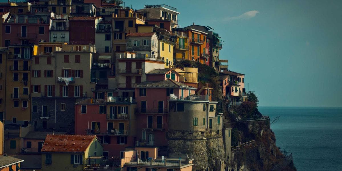 Algorithmic Credit Score Optimization