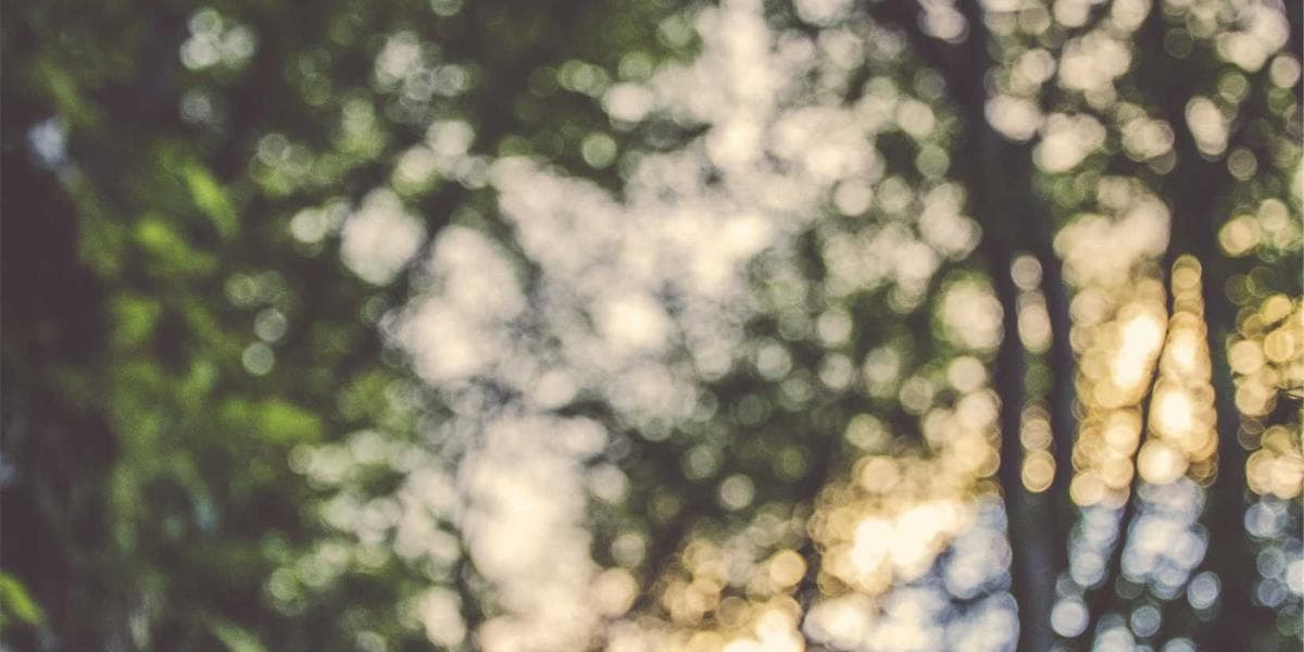 Charitable Giving & Tax Optimization: Complete Guide