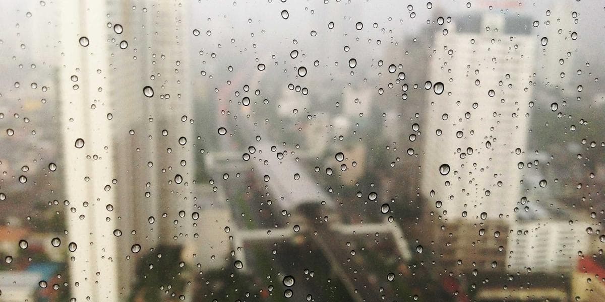 Credit Card Fraud Attorney