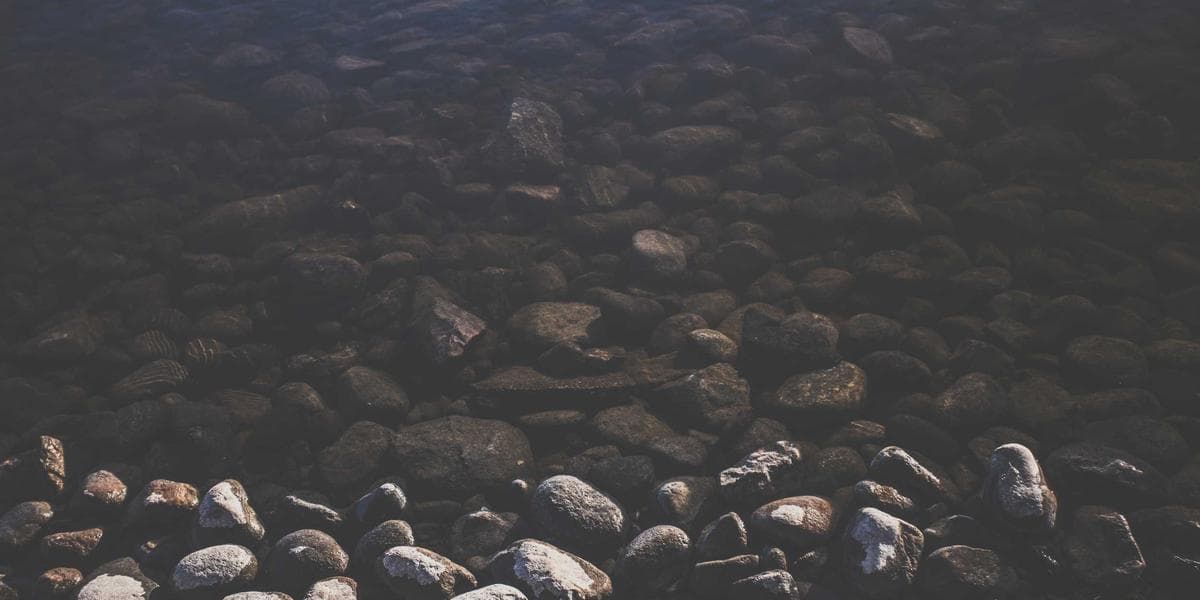 Cryptocurrency Portfolio Strategy: Complete Guide