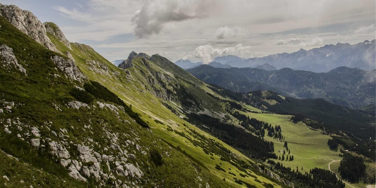 First Investment Company: How to Evaluate Any Investment Firm Before You Commit