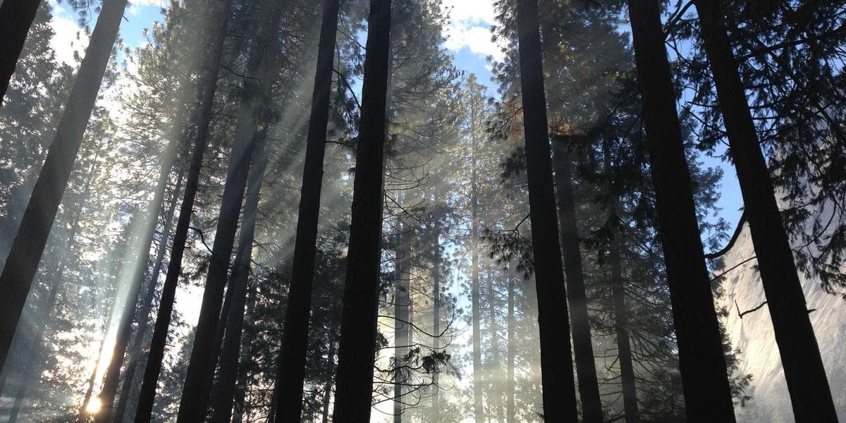 Global Perspectives On Home Equity Lines