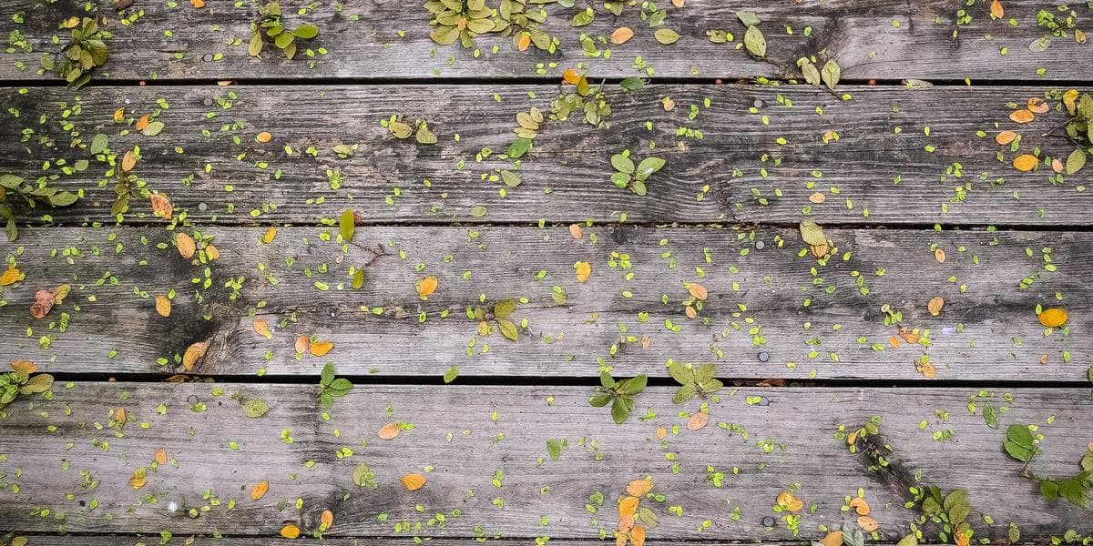 Hcb Interest Bearing Account