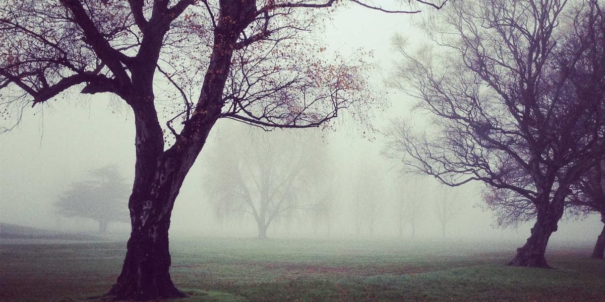 Healthcare Cost Planning & Medical Savings: Complete Guide