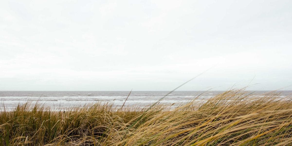 Index Funds vs Active Management: Complete Analysis