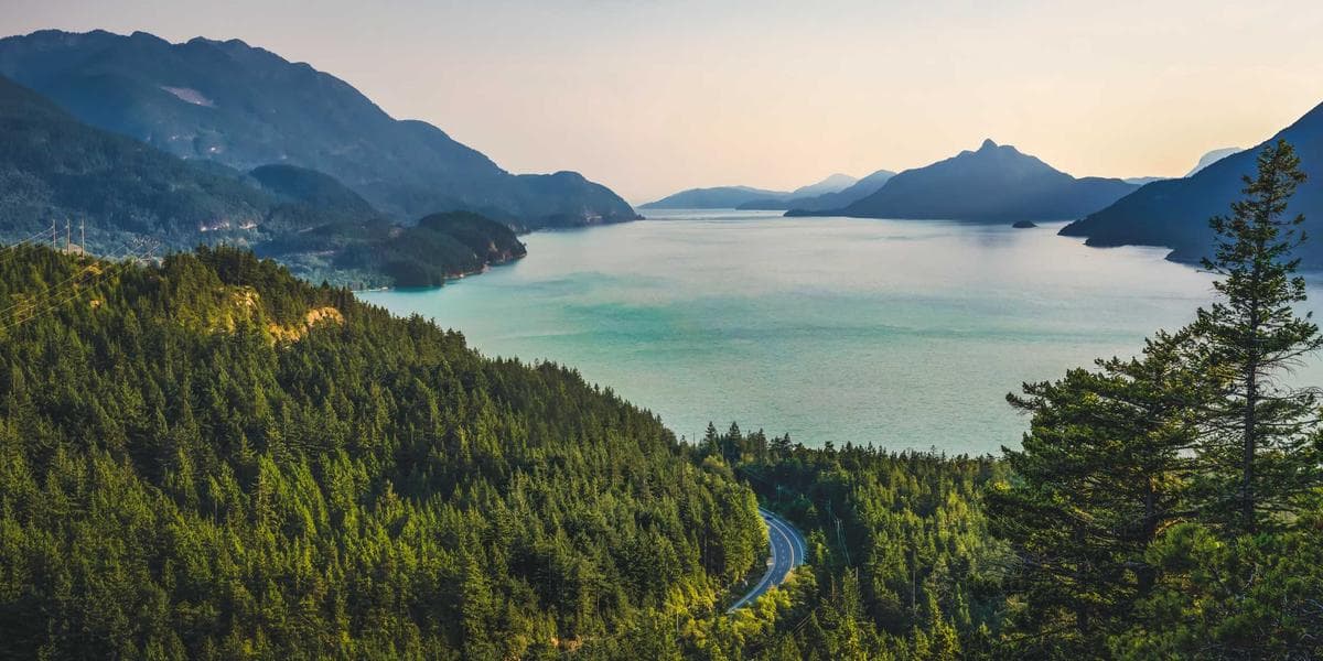 Options Trading Strategies & Risk Management: Complete Guide