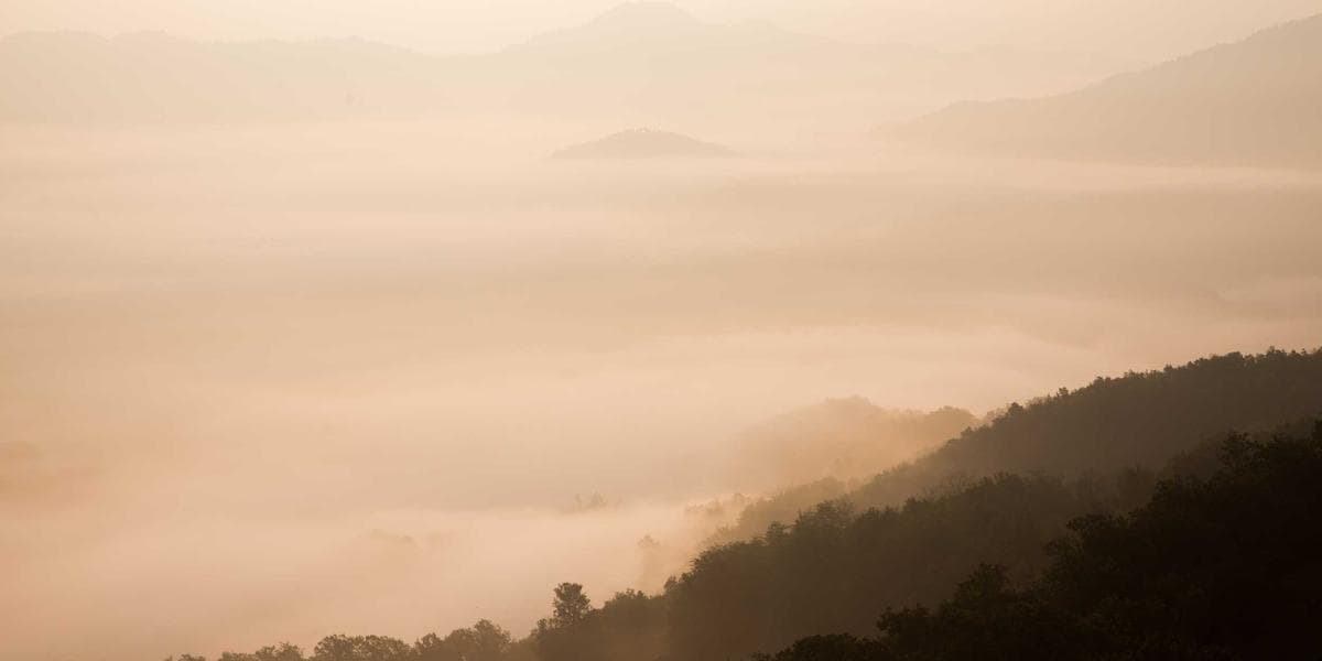 Qualified Opportunity Zones (QOZ): Tax-Free Capital Gains Growth & Community Investment