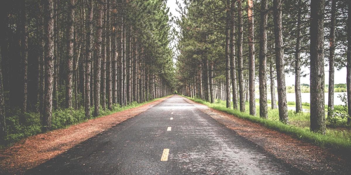 Rewards And Savings Mygreenbucks