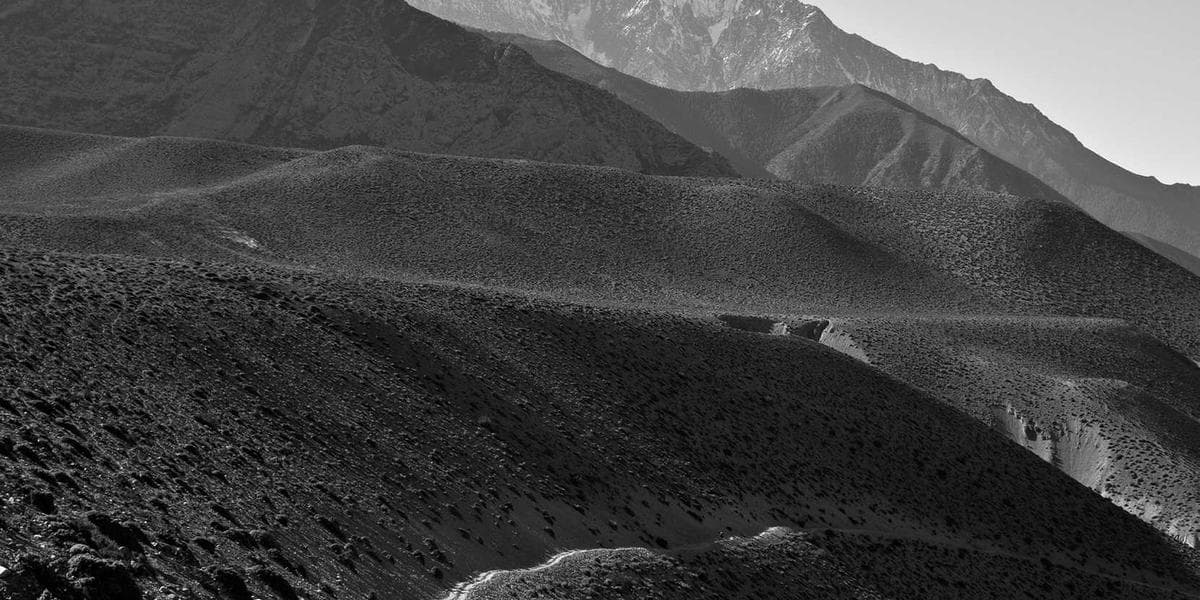 Robo-Advisor vs Human Advisor: Complete Comparison