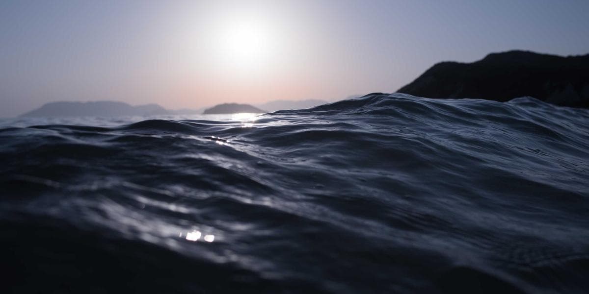 Roth IRA Conversion Strategy: Complete Guide