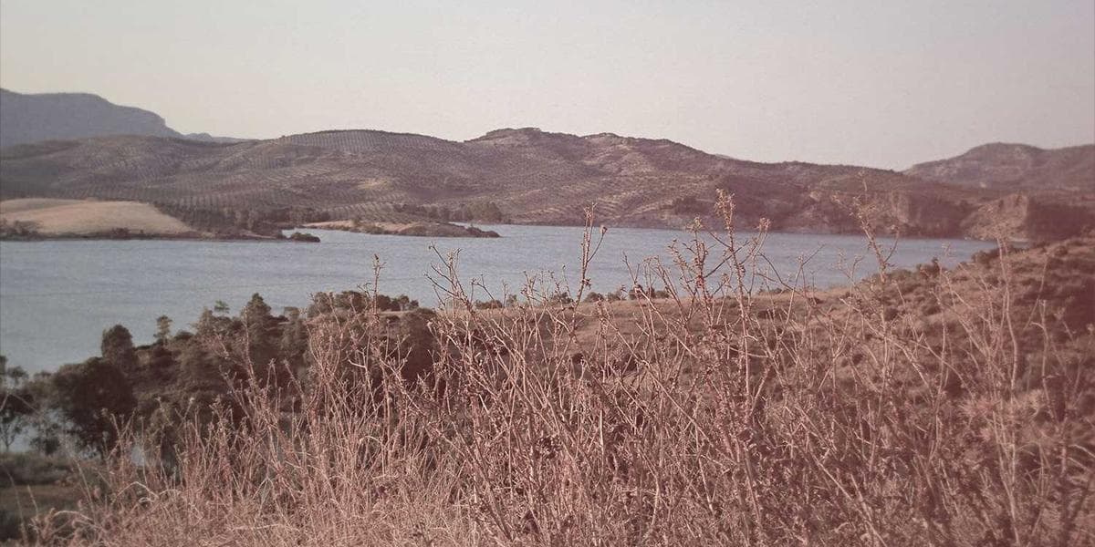 State Farm Tenant Insurance