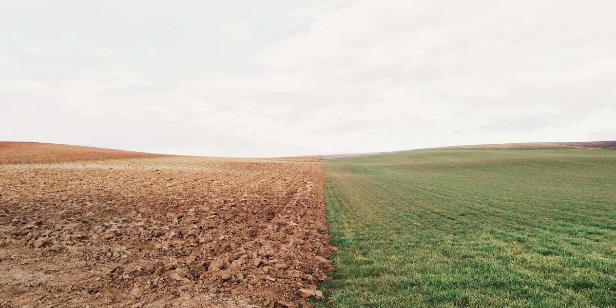 Strategic FHA Loans Planning