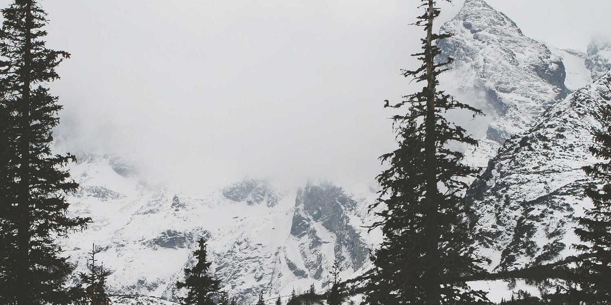 Truck Accident Lawsuit Loans