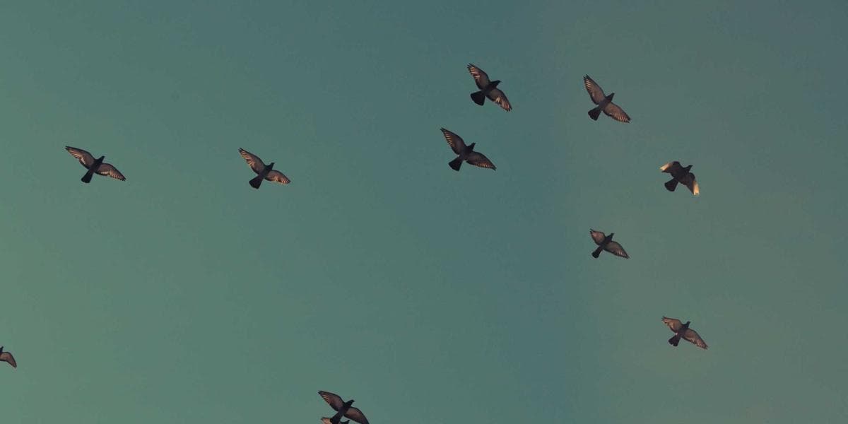 UIG Investments: Investor Due Diligence Blueprint for Risk, Fees, and Fit